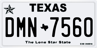 TX license plate DMN7560