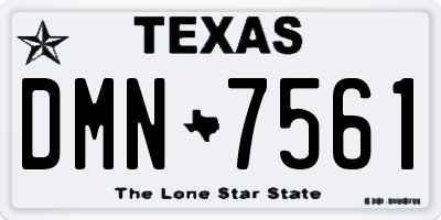 TX license plate DMN7561