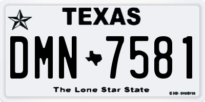 TX license plate DMN7581