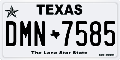 TX license plate DMN7585