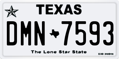 TX license plate DMN7593