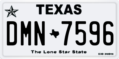 TX license plate DMN7596