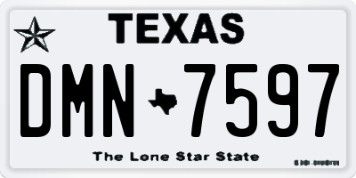 TX license plate DMN7597