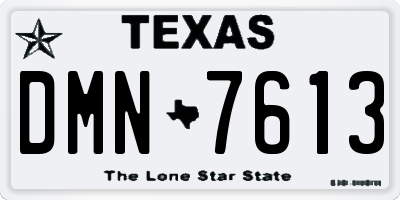 TX license plate DMN7613