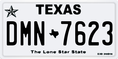 TX license plate DMN7623