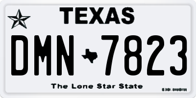 TX license plate DMN7823