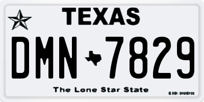 TX license plate DMN7829
