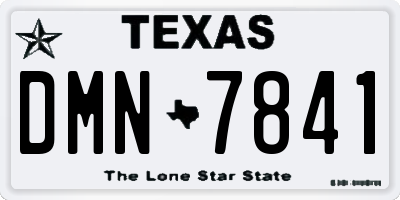 TX license plate DMN7841