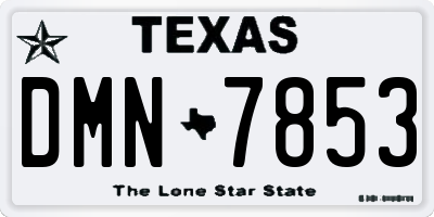 TX license plate DMN7853