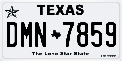 TX license plate DMN7859