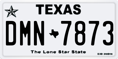 TX license plate DMN7873