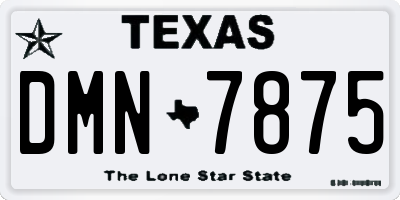 TX license plate DMN7875