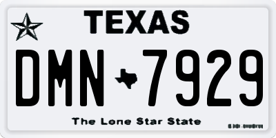 TX license plate DMN7929