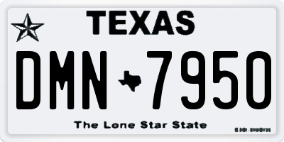 TX license plate DMN7950