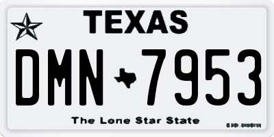 TX license plate DMN7953
