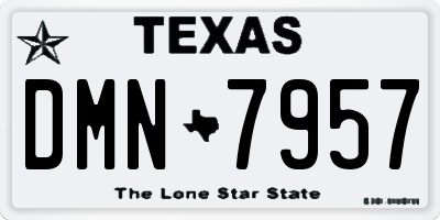 TX license plate DMN7957