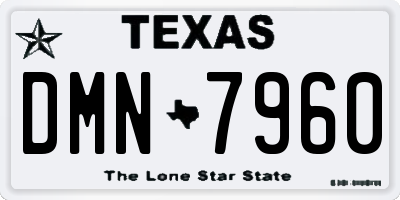 TX license plate DMN7960