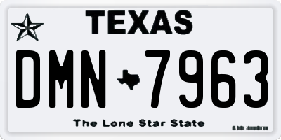 TX license plate DMN7963