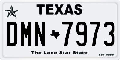 TX license plate DMN7973