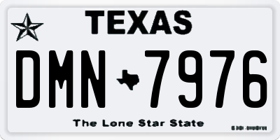 TX license plate DMN7976