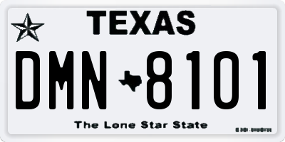 TX license plate DMN8101