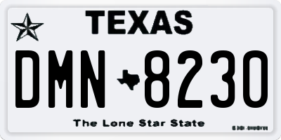 TX license plate DMN8230