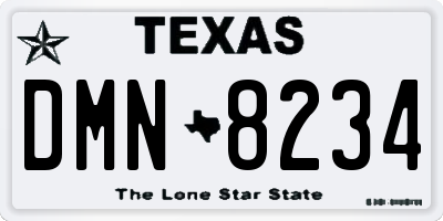 TX license plate DMN8234