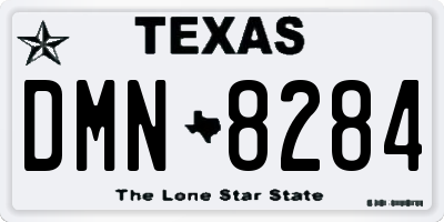 TX license plate DMN8284
