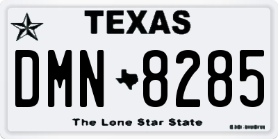TX license plate DMN8285