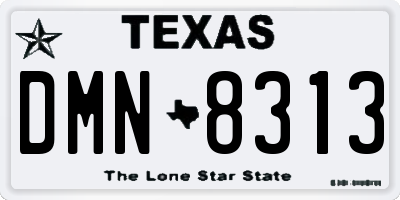TX license plate DMN8313