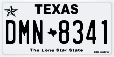 TX license plate DMN8341