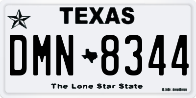 TX license plate DMN8344