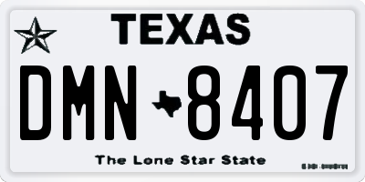 TX license plate DMN8407