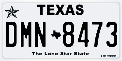 TX license plate DMN8473