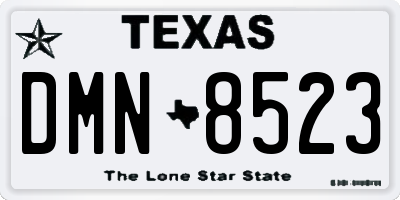 TX license plate DMN8523