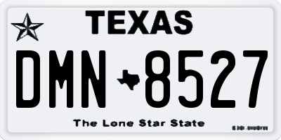 TX license plate DMN8527