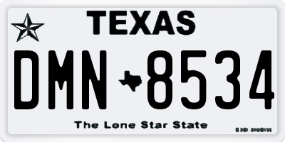 TX license plate DMN8534