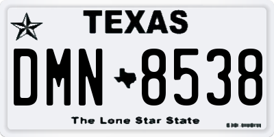 TX license plate DMN8538