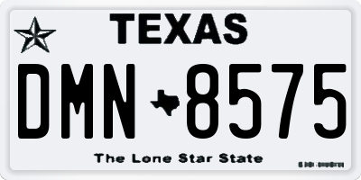 TX license plate DMN8575