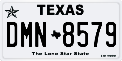 TX license plate DMN8579