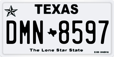 TX license plate DMN8597