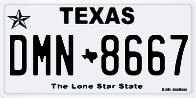 TX license plate DMN8667