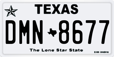 TX license plate DMN8677
