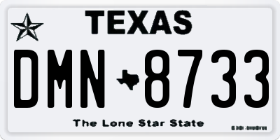 TX license plate DMN8733