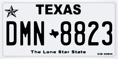TX license plate DMN8823