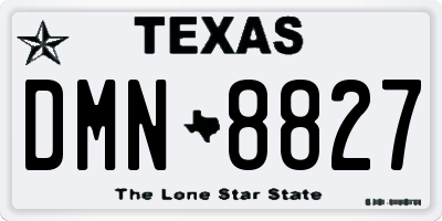 TX license plate DMN8827