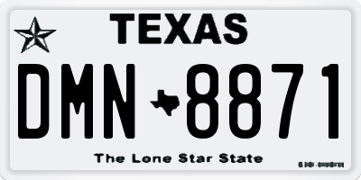 TX license plate DMN8871