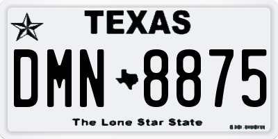 TX license plate DMN8875