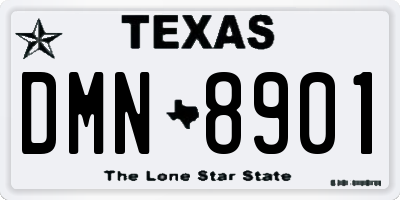 TX license plate DMN8901