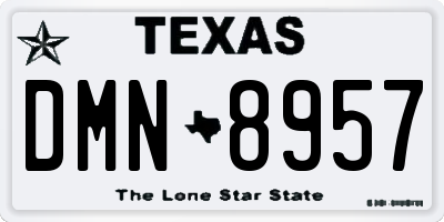 TX license plate DMN8957